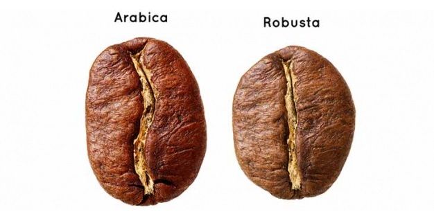 Arabica and Robusta